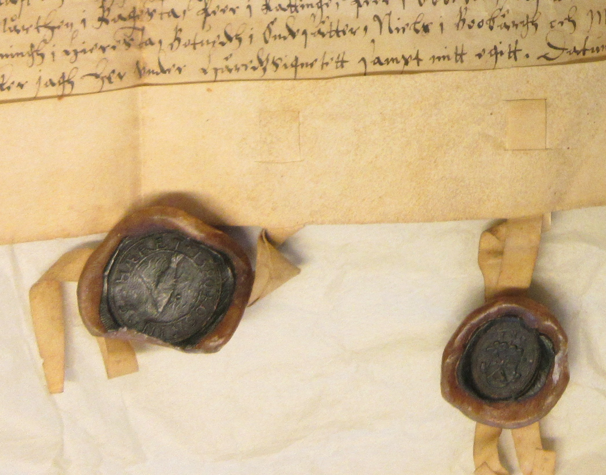 Gåsätter 1595 B